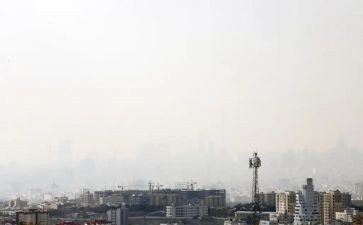 校园白色污染调查报告5篇
