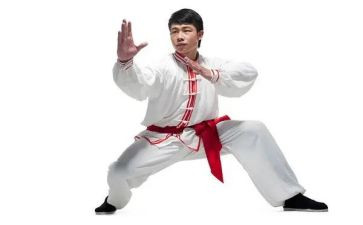 武术月总结6篇