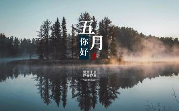 小学五月工作总结7篇