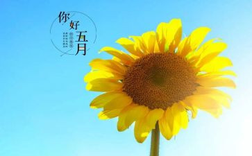 中班五月工作总结5篇