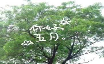幼儿中班五月工作总结6篇