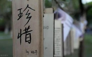 珍惜青春年华演讲稿5篇