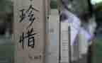 珍惜青春年华演讲稿5篇