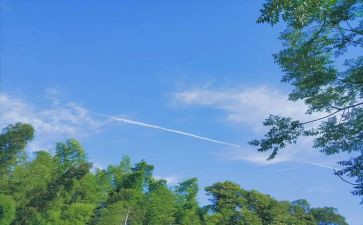幼儿园小班夏天主题教案6篇
