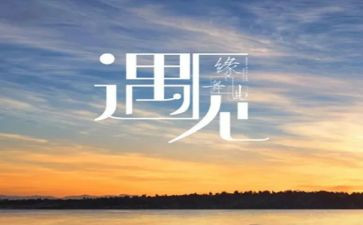 相遇的作文800字6篇