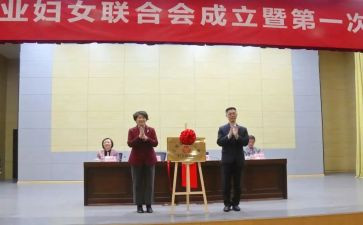 乡镇妇联2024年工作总结7篇