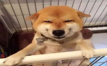笑500字优秀作文通用7篇