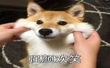 护士微笑的演讲稿7篇