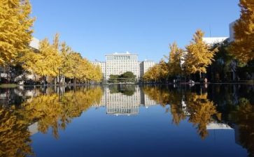 学校内部审计工作总结6篇