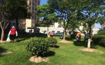 新小区物业工作计划5篇