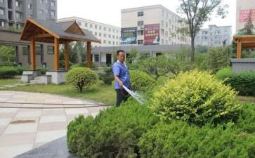 小区物业经理工作总结8篇