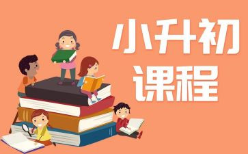 小升初作文作文精选6篇