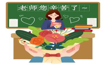 2024年小学教师个人总结精选8篇