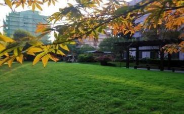 校园活动心得体会6篇