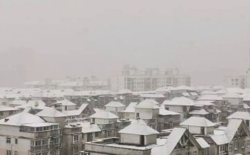 下雪啦活动教案5篇