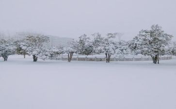 下雪天安全教案6篇