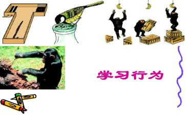 行为教育月心得体会6篇