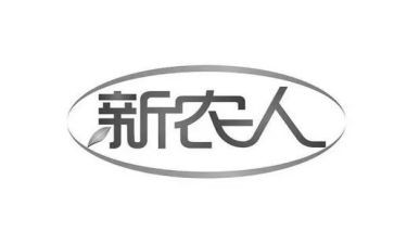 新农村建设社会实践报告8篇