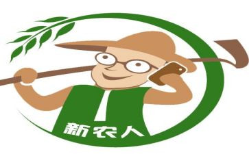 新农村建设工作报告6篇