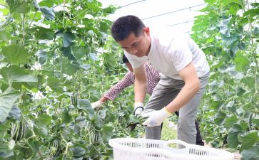 新农村调查报告范文5篇