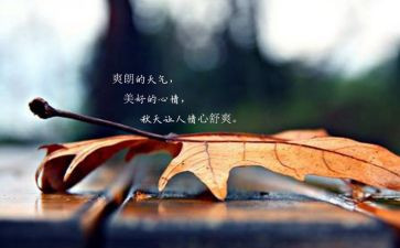 写心情的作文400字8篇
