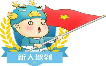 新人体会心得体会模板8篇