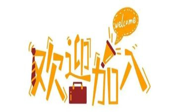 新人体会心得体会6篇