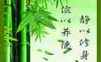 《修身》读后感5篇