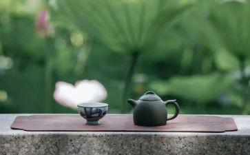 文化修养的作文5篇