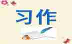 学习作文课心得体会优质5篇