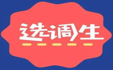 2023年选调生工作总结8篇