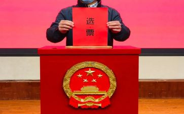 党支部选举工作总结8篇