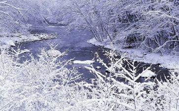 除雪工作汇报材料优质8篇