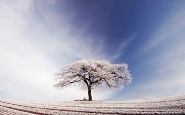 春天的雪作文通用6篇
