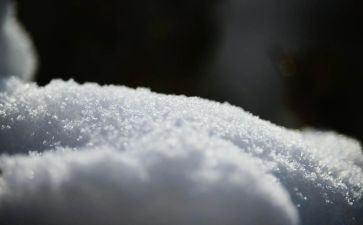 雪初中作文300字通用8篇