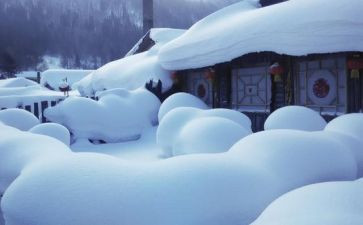 我梦见雪作文8篇
