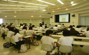 学部主任述职报告7篇