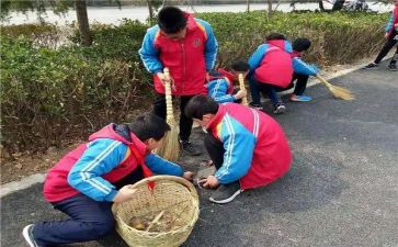 学雷蜂心得体会模板7篇