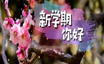 幼儿园副园长学期工作计划6篇