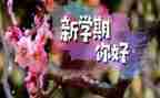 学生鉴定学期自我鉴定推荐6篇