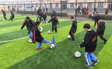 学习工作的心得体会优质7篇