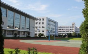 学校环保主题活动方案6篇