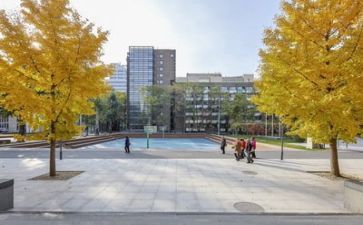 学校致辞稿推荐6篇