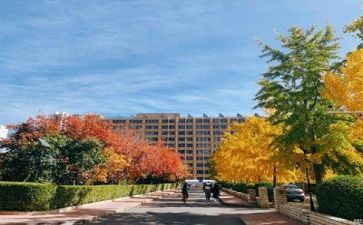 学校财务科个人总结报告7篇