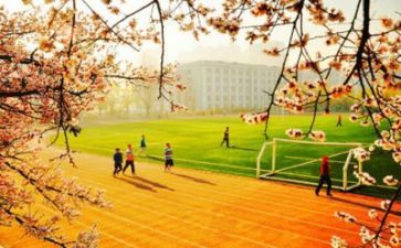学校年度工作计划2023精选6篇