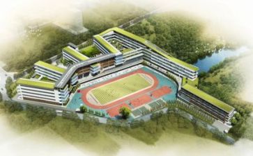 学校处工作计划参考6篇