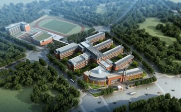学校“五项管理”自查报告8篇