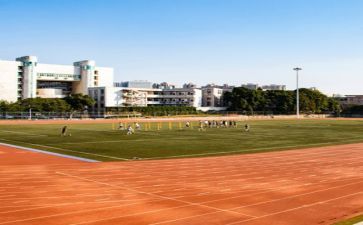 学校培训处工作计划模板8篇