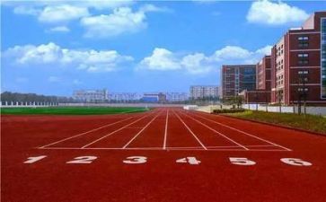 学校2024年工作总结优秀5篇