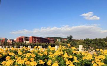 学校处工作计划优秀6篇